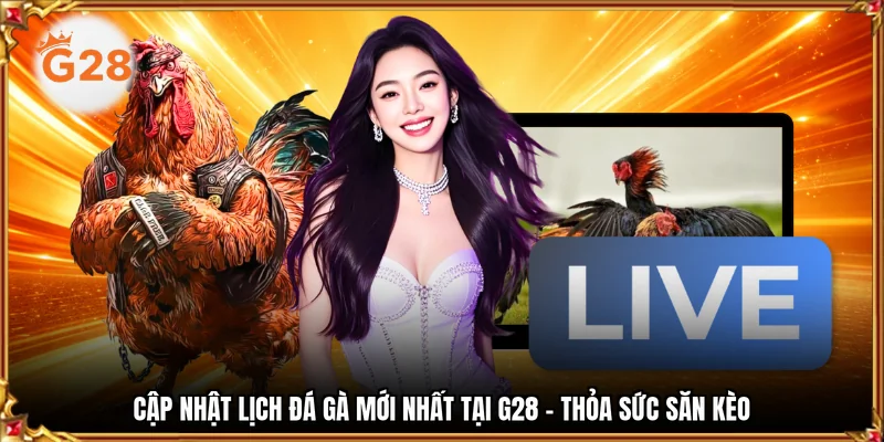 cập nhật lịch đá gà mới nhất