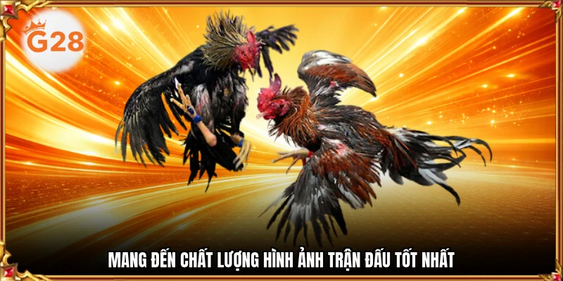 Mang đến chất lượng hình ảnh trận đấu tốt nhất