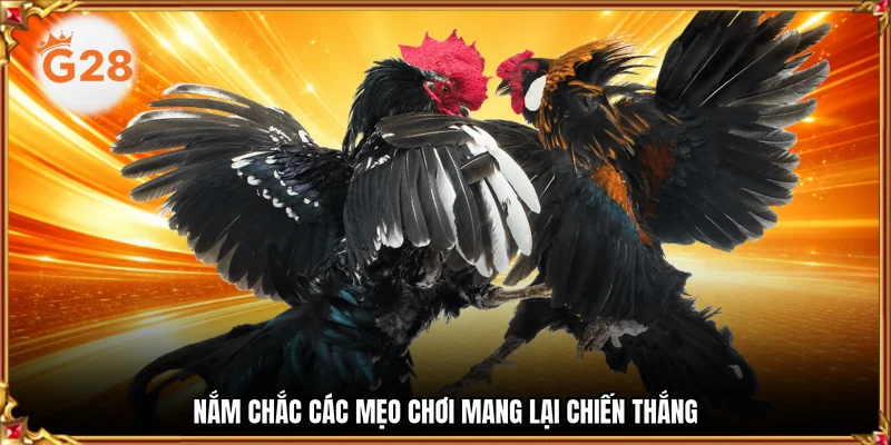 Nắm chắc các mẹo chơi mang lại chiến thắng