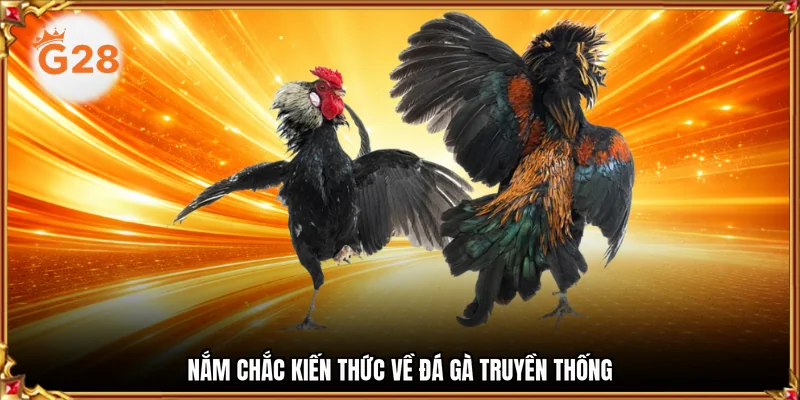 Nắm chắc kiến thức về đá gà truyền thống
