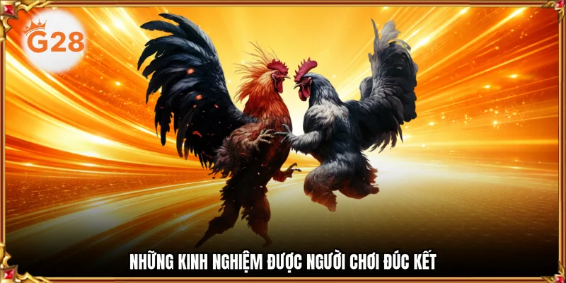 Những kinh nghiệm được người chơi đúc kết 