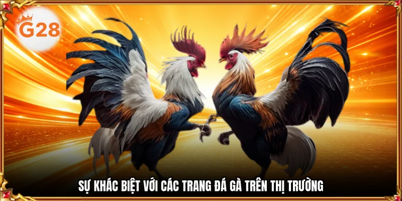 Sự khác biệt với các trang đá gà trên thị trường