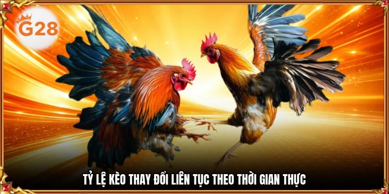 Tỷ lệ kèo thay đổi liên tục theo thời gian thực